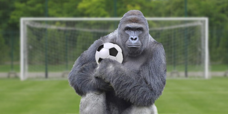 10aa8ade43b8739ed0829c4fcf7ef5a4